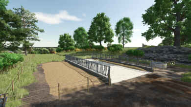 1765901489 1765901472 365 screenshot0