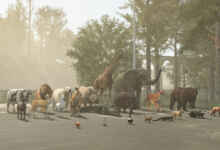 1765901675 1765901665 220 screenshot0