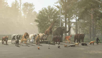 1765901675 1765901665 220 screenshot0