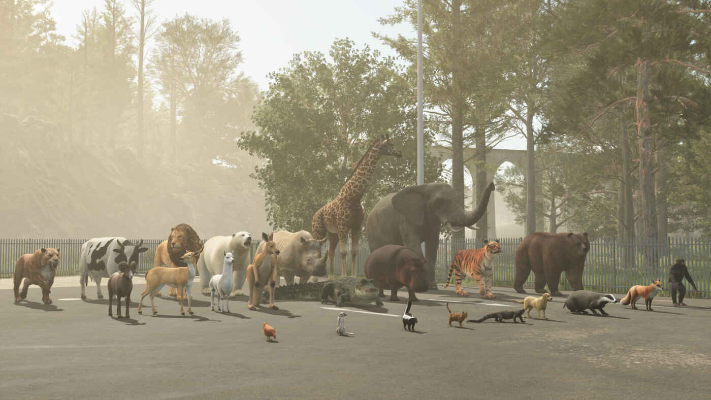 1765901675 1765901665 220 screenshot0