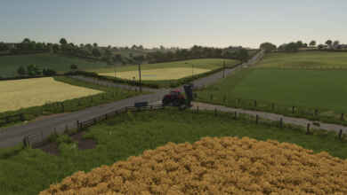 1765907335 1765907323 420 screenshot0