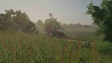 1766408243 1766408227 560 screenshot0