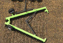 1766492246 1766492237 874 screenshot0