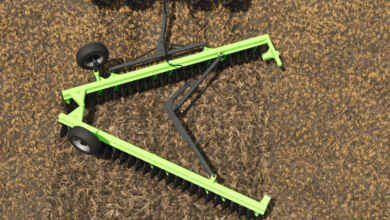 1766492246 1766492237 874 screenshot0