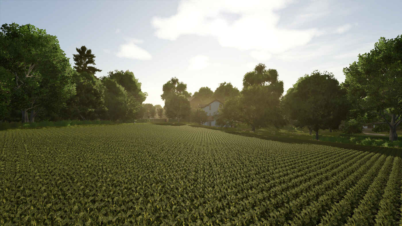 1766492487 320 screenshot3