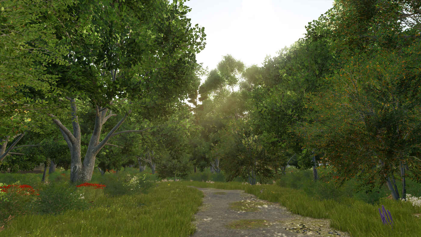 1766492489 569 screenshot4