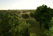 1766492505 1766492485 790 screenshot0