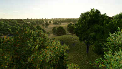 1766492505 1766492485 790 screenshot0