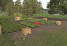 1767794864 1767794859 605 screenshot0