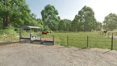 1768417056 1768417048 377 screenshot0