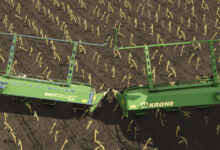 1768923189 1768923182 215 screenshot0