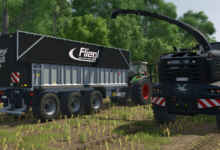 1768924404 1768924394 892 screenshot0