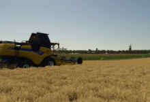 1769091245 1769091232 258 screenshot0