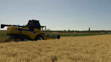 1769091245 1769091232 258 screenshot0