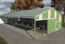 1769441308 1769441301 645 screenshot0