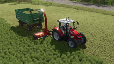 1769791165 1769791153 759 screenshot0