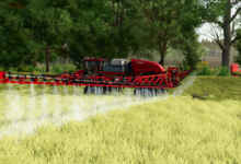 1769793585 1769793574 753 screenshot0