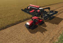 1770136253 1770136247 251 screenshot0