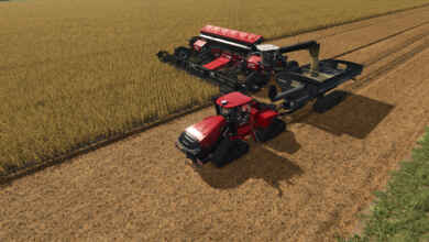 1770136253 1770136247 251 screenshot0