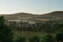 1770140028 1770140016 571 screenshot0