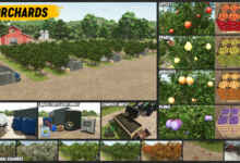 1770225111 1770225099 455 screenshot0