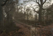 1770310699 1770310689 351 screenshot0