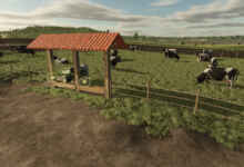 1770655611 1770655601 554 screenshot0