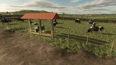 1770655611 1770655601 554 screenshot0