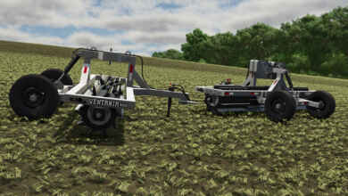 1770831977 1770831965 561 screenshot0