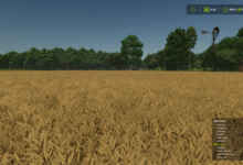 1770836438 1770836428 930 screenshot0