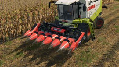 1770998273 1770998268 490 screenshot0