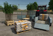 1770998643 1770998638 991 screenshot0