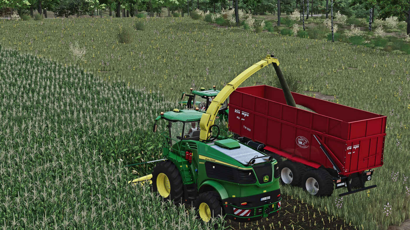 1771009147 253 screenshot3