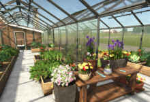 1773238431 1773238420 535 screenshot0