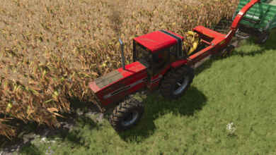 1773410917 1773410904 167 screenshot0