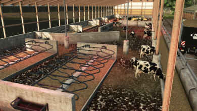 1773421305 1773421297 276 screenshot0