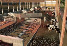 1773421305 1773421297 958 screenshot0