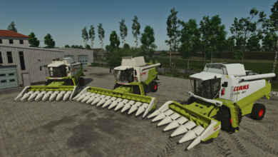 1773845177 1773845165 317 screenshot0