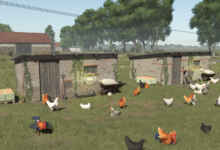 1774453231 1774453219 538 screenshot0