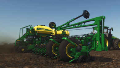 1774622206 1774622199 359 screenshot0