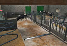 1774626107 1774626096 148 screenshot0