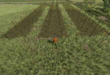 1774966803 1774966797 297 screenshot0