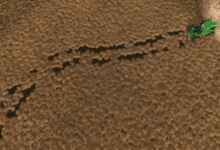 1774982402 1774982393 660 screenshot0