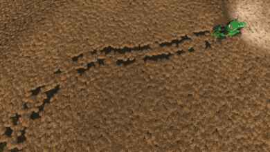 1774982402 1774982393 660 screenshot0