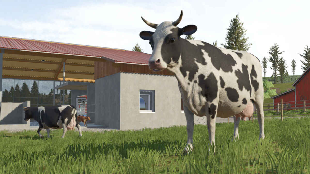 fs26 cows