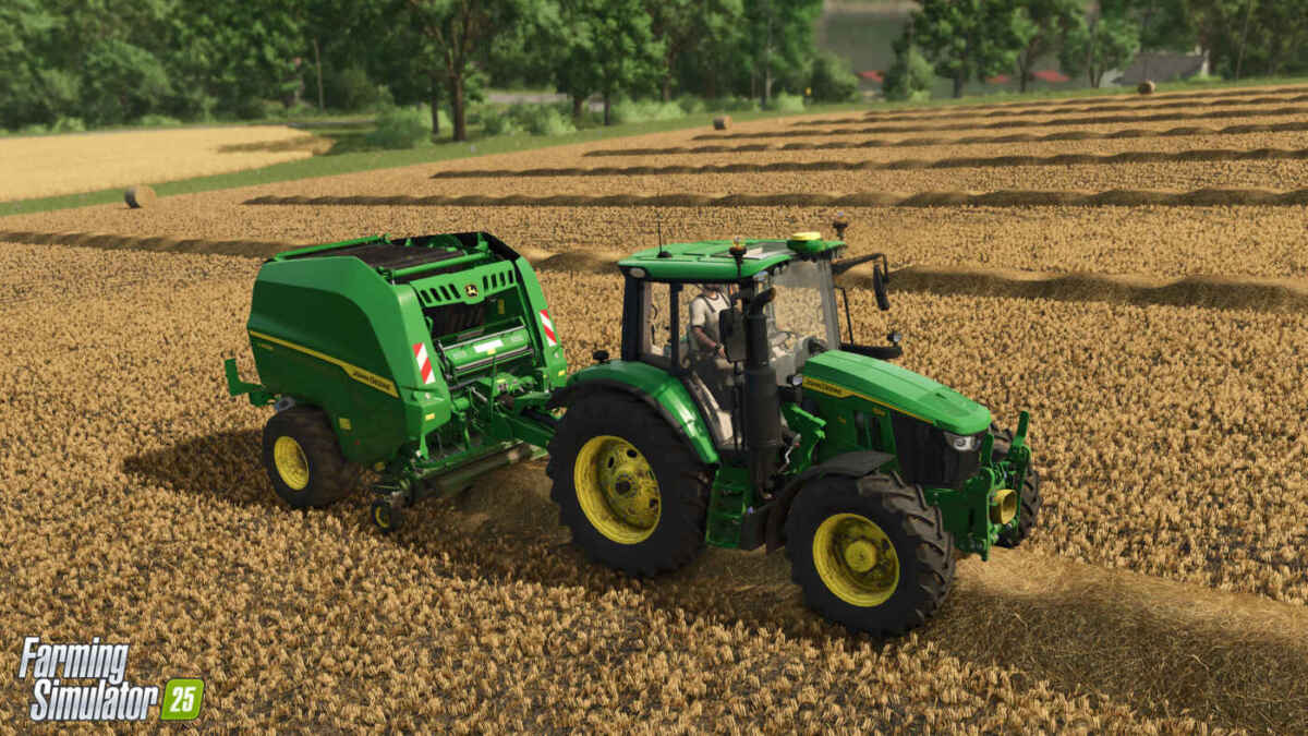 FS25 ContentUpdate06 1 en