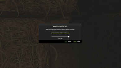 1781029772 1781029767 810 screenshot0