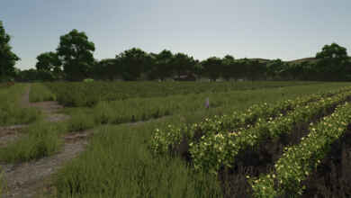 1782922581 1782922573 414 screenshot0