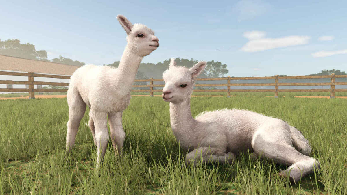 FS25BA alpacas 1