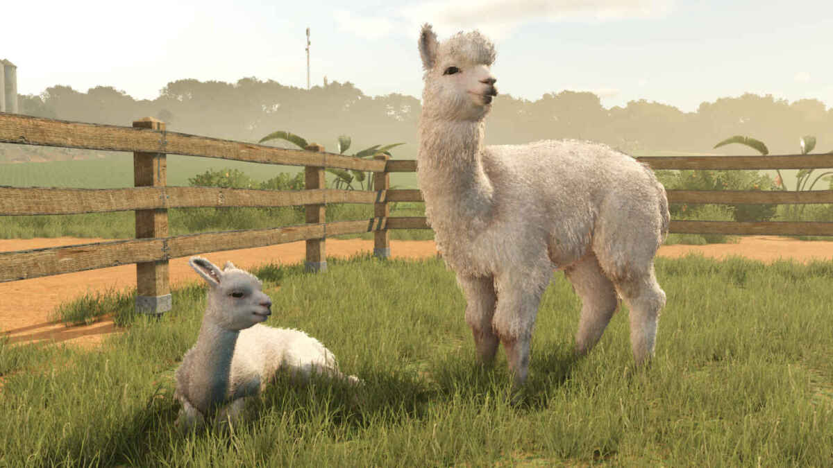 FS25BA alpacas